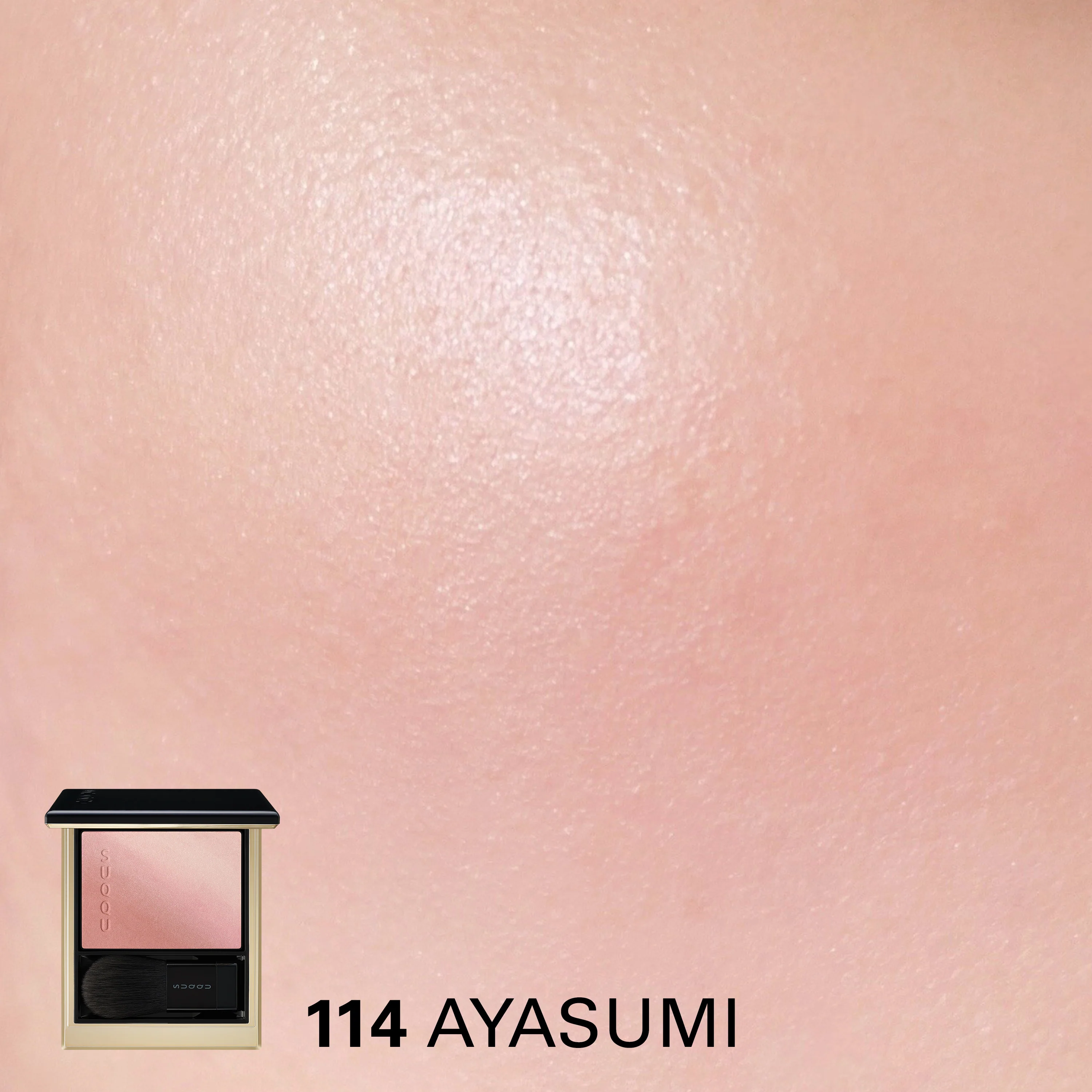 BLURRING COLOR BLUSH (PRE-SUMMER 2026) - Image 3