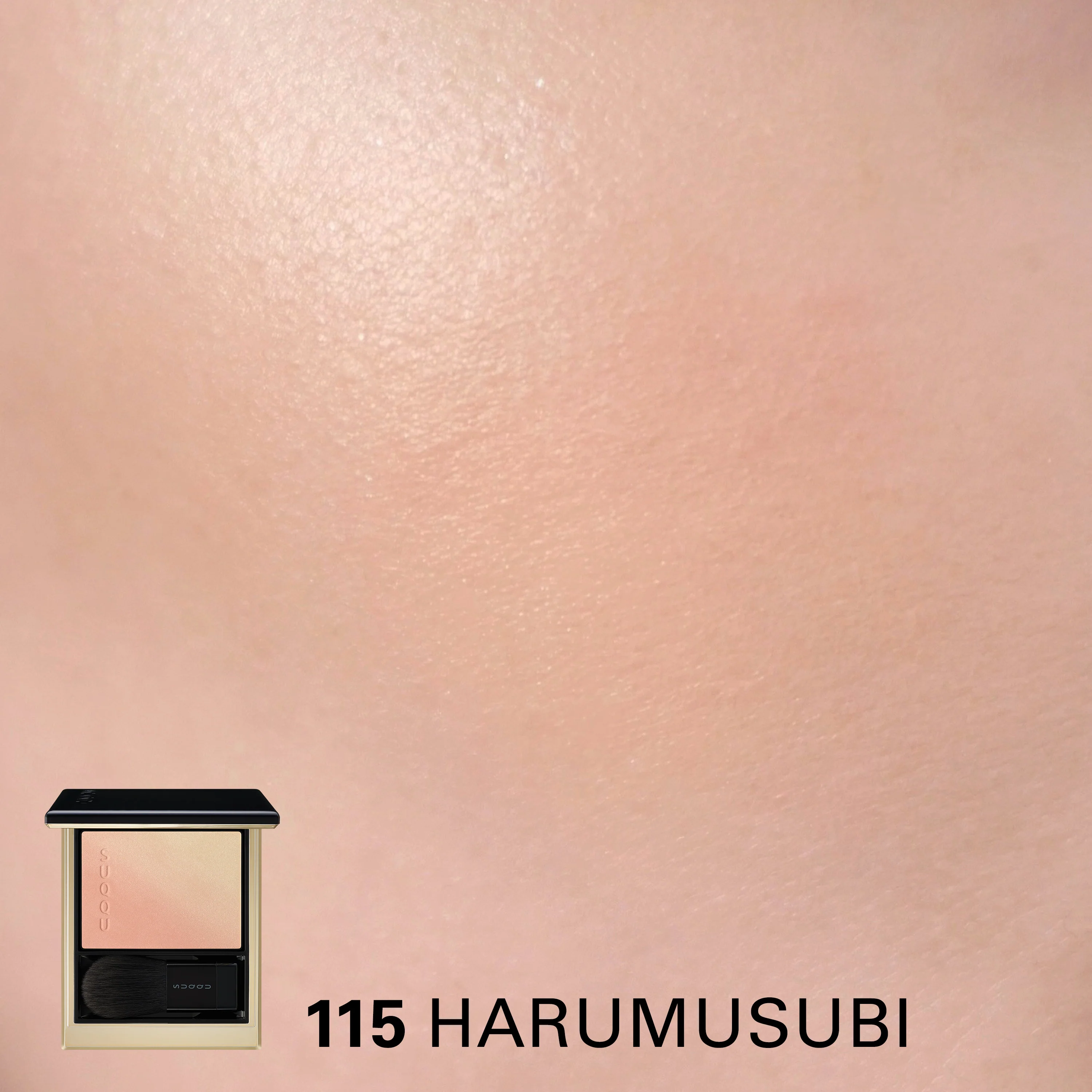 BLURRING COLOR BLUSH (PRE-SUMMER 2026) - Image 4